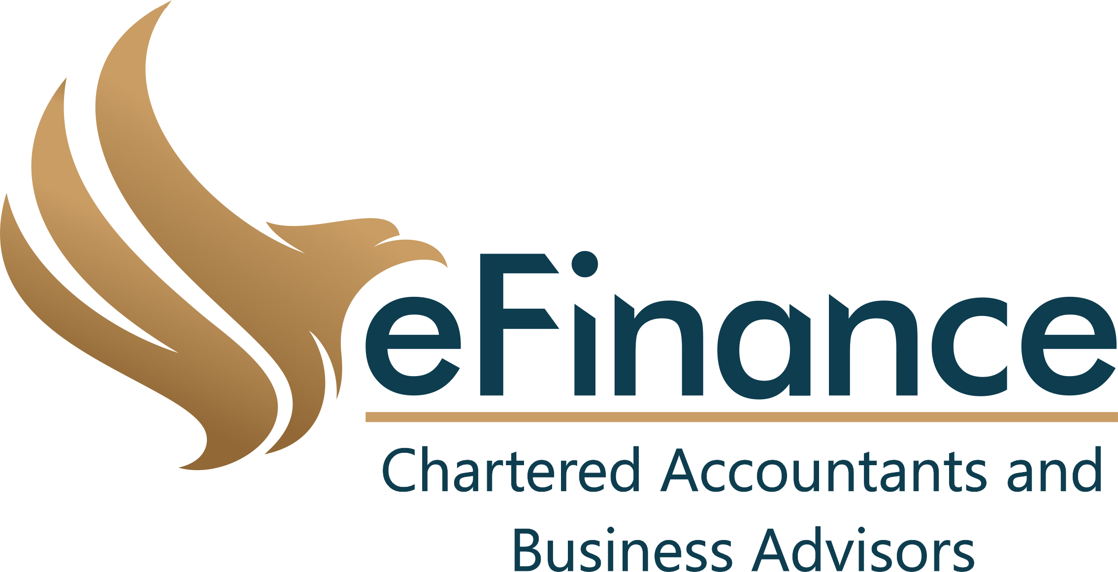 eFinance